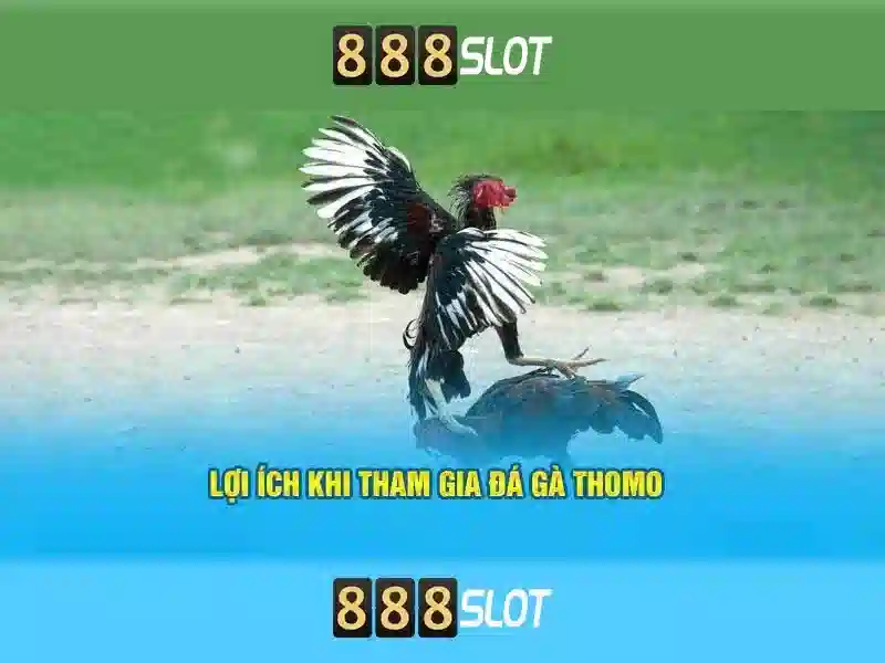 Bull Bull trực tuyến