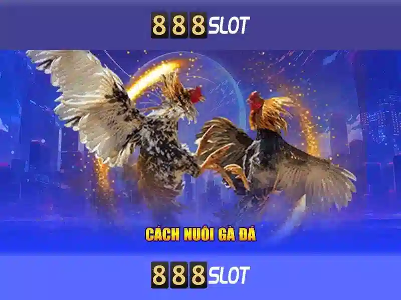 phoenix 888 slot – Tổng quan chủ đề và giá trị cốt lõi