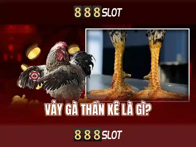 Tổng quan 888 slot bet