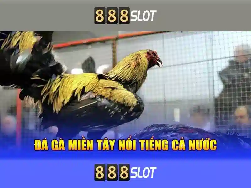 Việt Vị Trong Bóng Đá