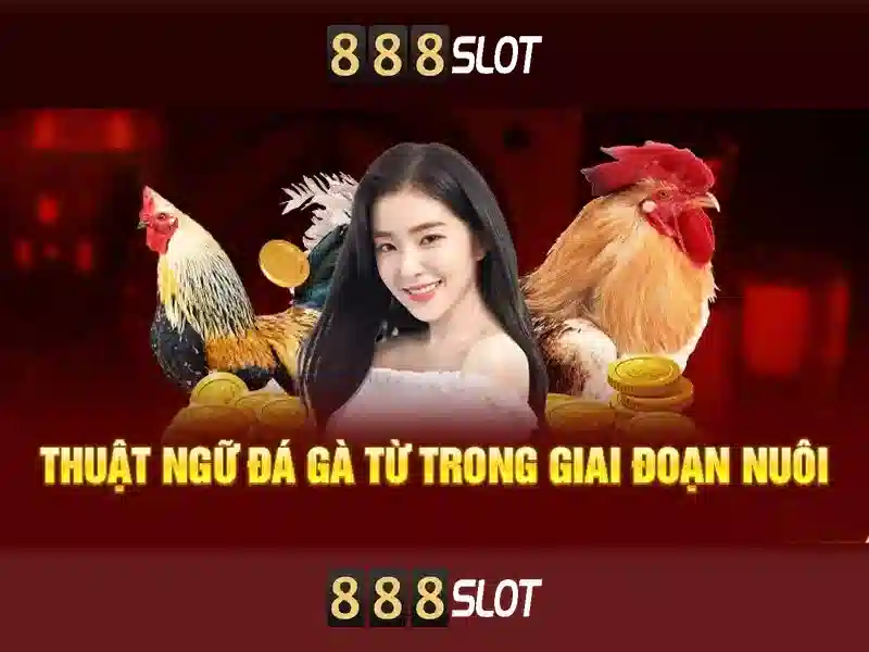 Việt Vị Trong Bóng Đá