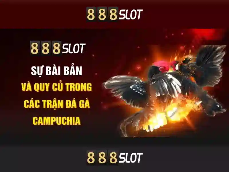 Khuyến mãi và chương trình thưởng