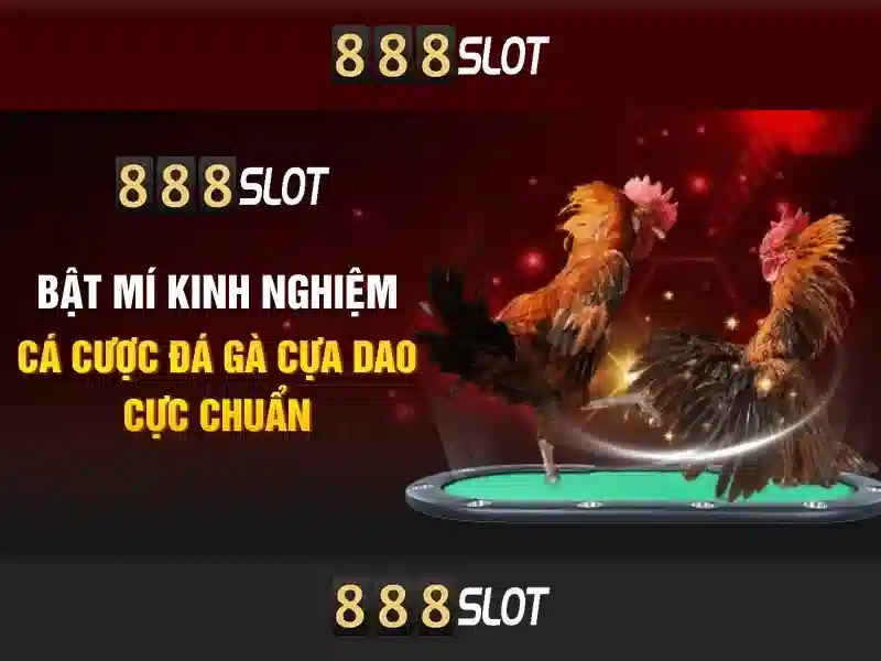 Ưu đãi và khuyến mãi