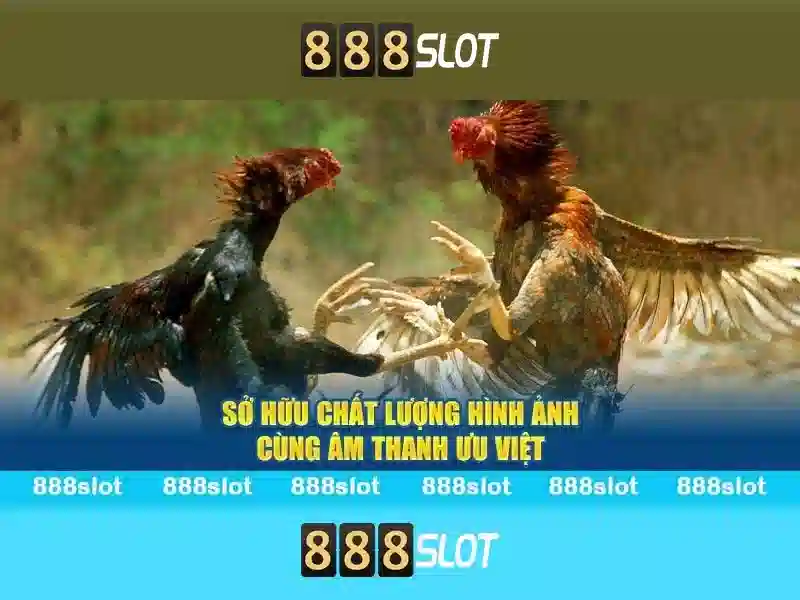 Khuyến mãi và thanh toán
