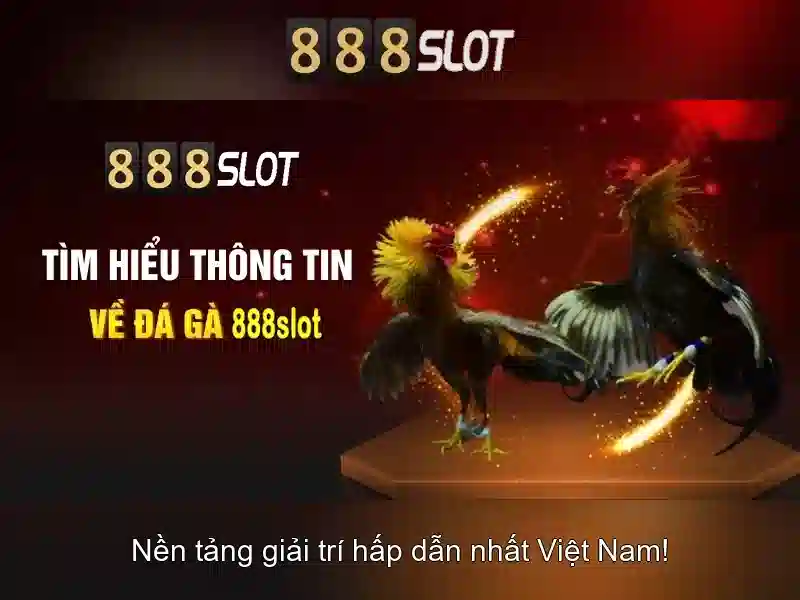 Trải nghiệm người dùng và giao diện\n