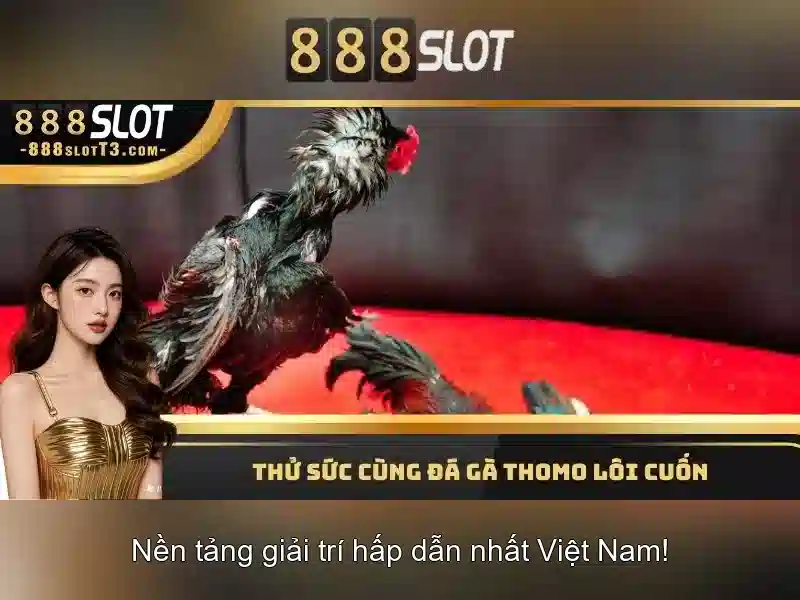 Giới thiệu về 888slot