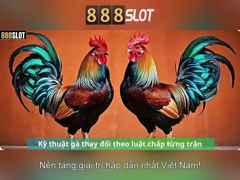 Khám phá danh mục trò chơi và tính năng nổi bật