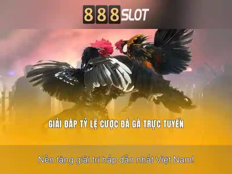 Trải nghiệm người dùng và bảo mật
