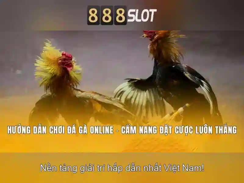 Khuyến mãi và cách đăng ký
