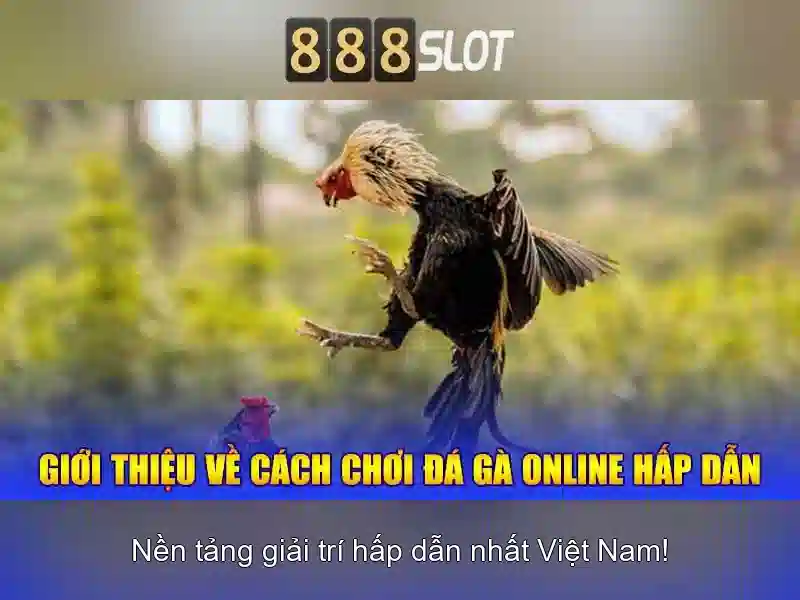 Khuyến mãi và chương trình thưởng