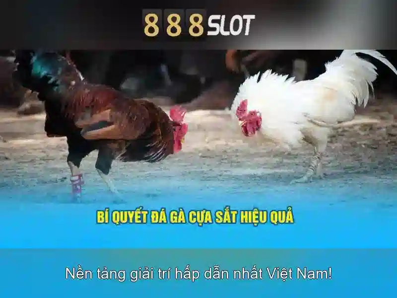 Giới thiệu về 888slot