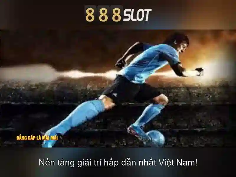 Hỗ trợ khách hàng và trải nghiệm người dùng