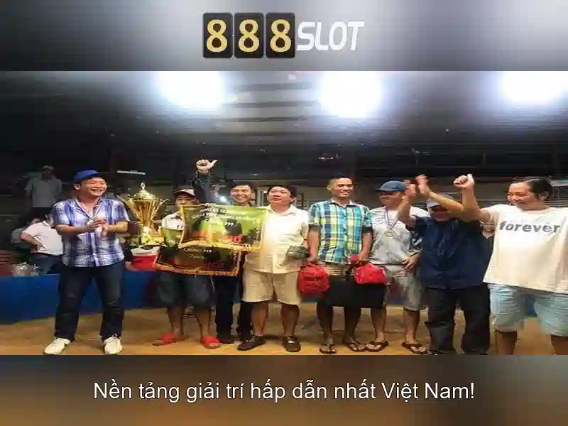 Giao diện và trải nghiệm người dùng