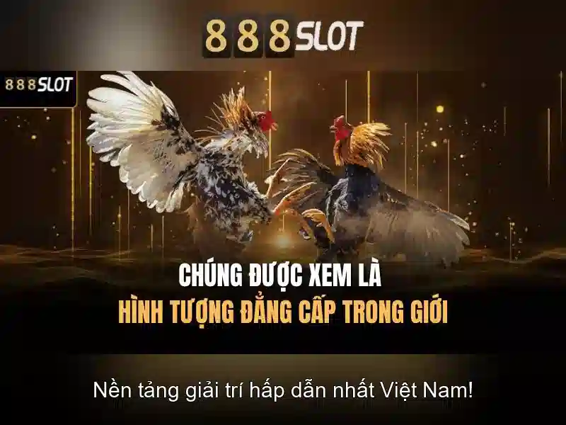 Việt Vị Trong Bóng Đá