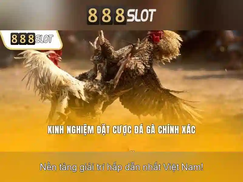 Lời khuyên chơi thắng và quản lý ngân sách