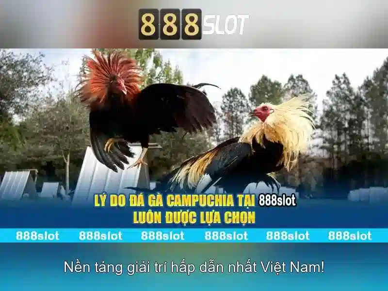 Thanh toán và ứng dụng di động